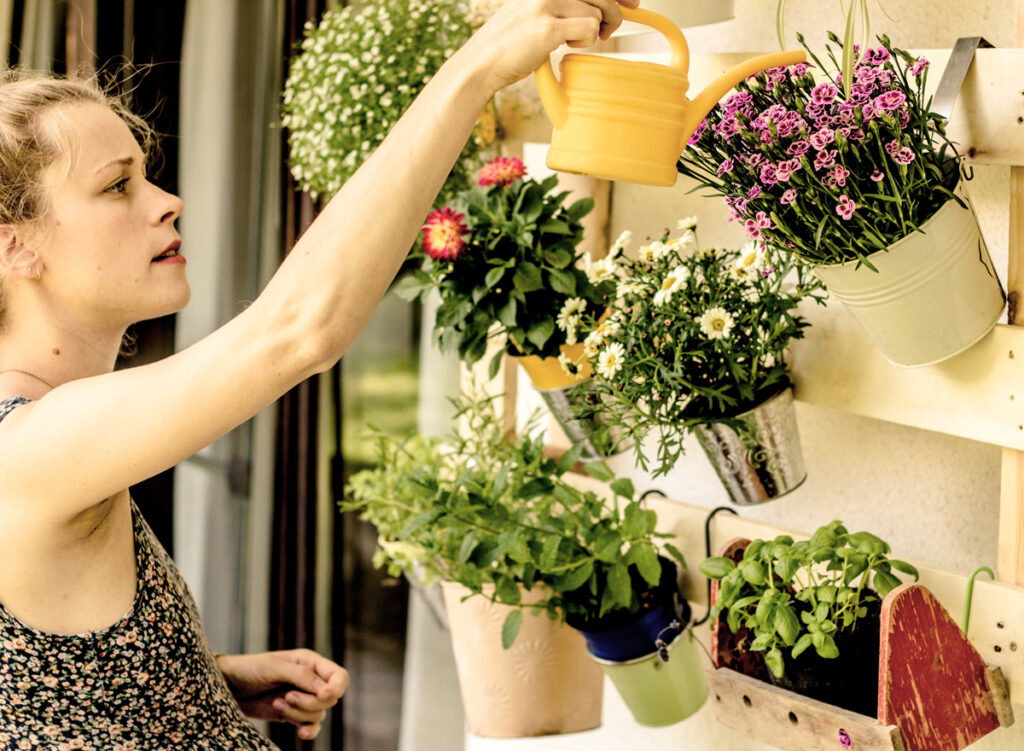 Frau pflanzt Blumen in ein Grüst für Pflanzen